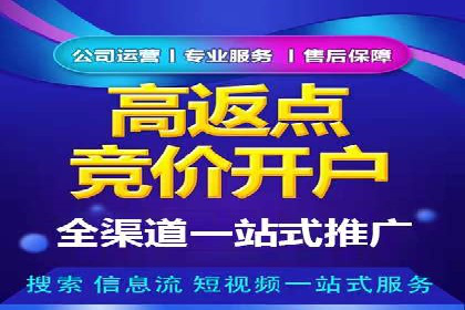 行业领先企业的网络推广与竞价经验